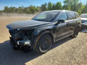 Honda CR-V 1.5L 4 2024