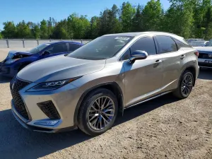 Lexus RX 3.5L 6 2020