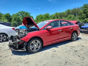 Hyundai Sonata 2.4L 4 2019