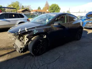 Tesla Model Y 2020