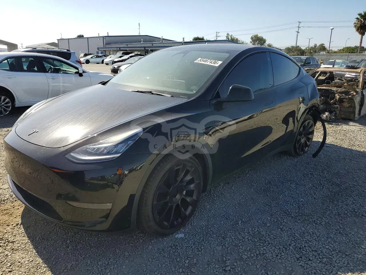 Tesla Model Y 2023