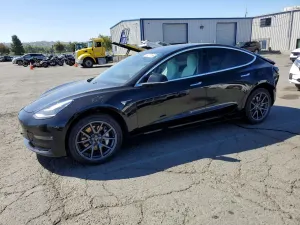 Tesla Model 3 2019