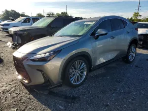 Lexus NX 2.4L 4 2025
