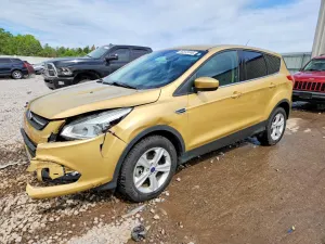 Ford Escape 1.6L 4 2015