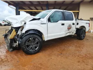 Ford F-150 5.0L 8 2019