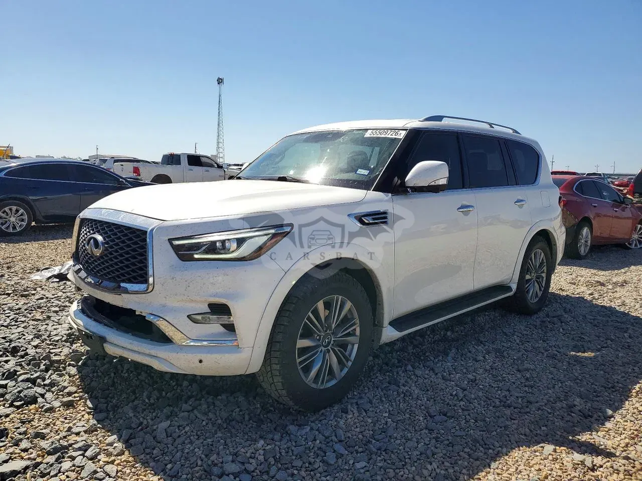 Infiniti QX80 5.6L 8 2021