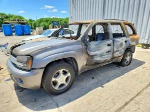 Chevrolet Trailblazer 4.2L 6 2008