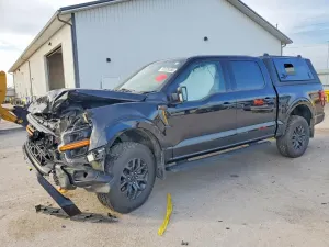 Ford F-150 5.0L 8 2025