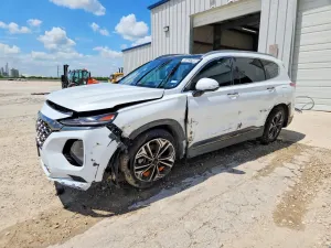 Hyundai Santa Fe 2.0L 4 2020