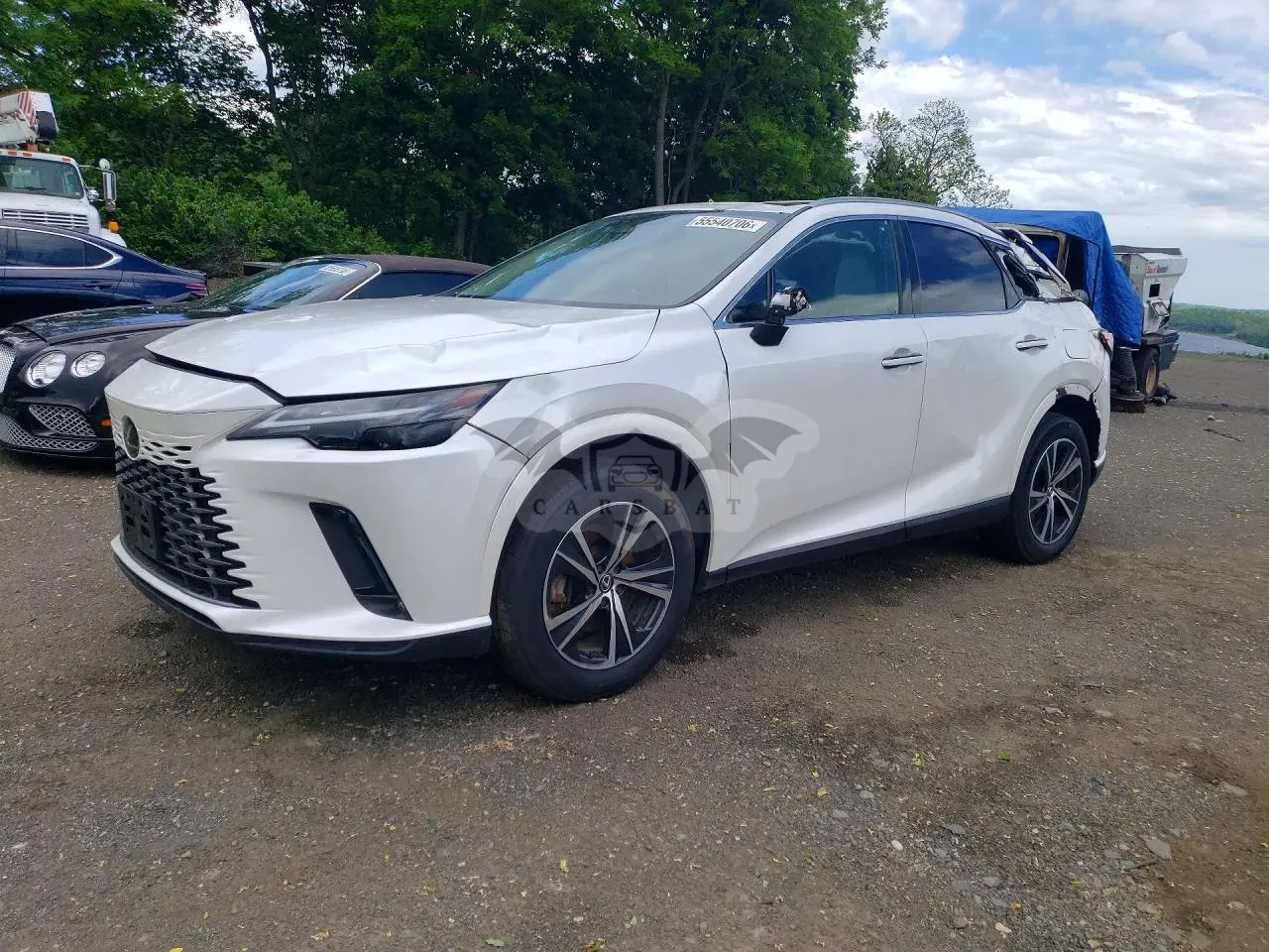 Lexus RX 2.4L 4 2024