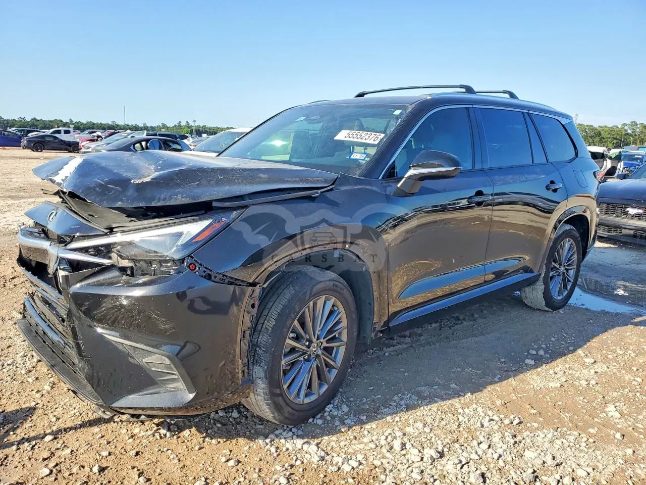 Lexus TX Series 2.4L 4 2024