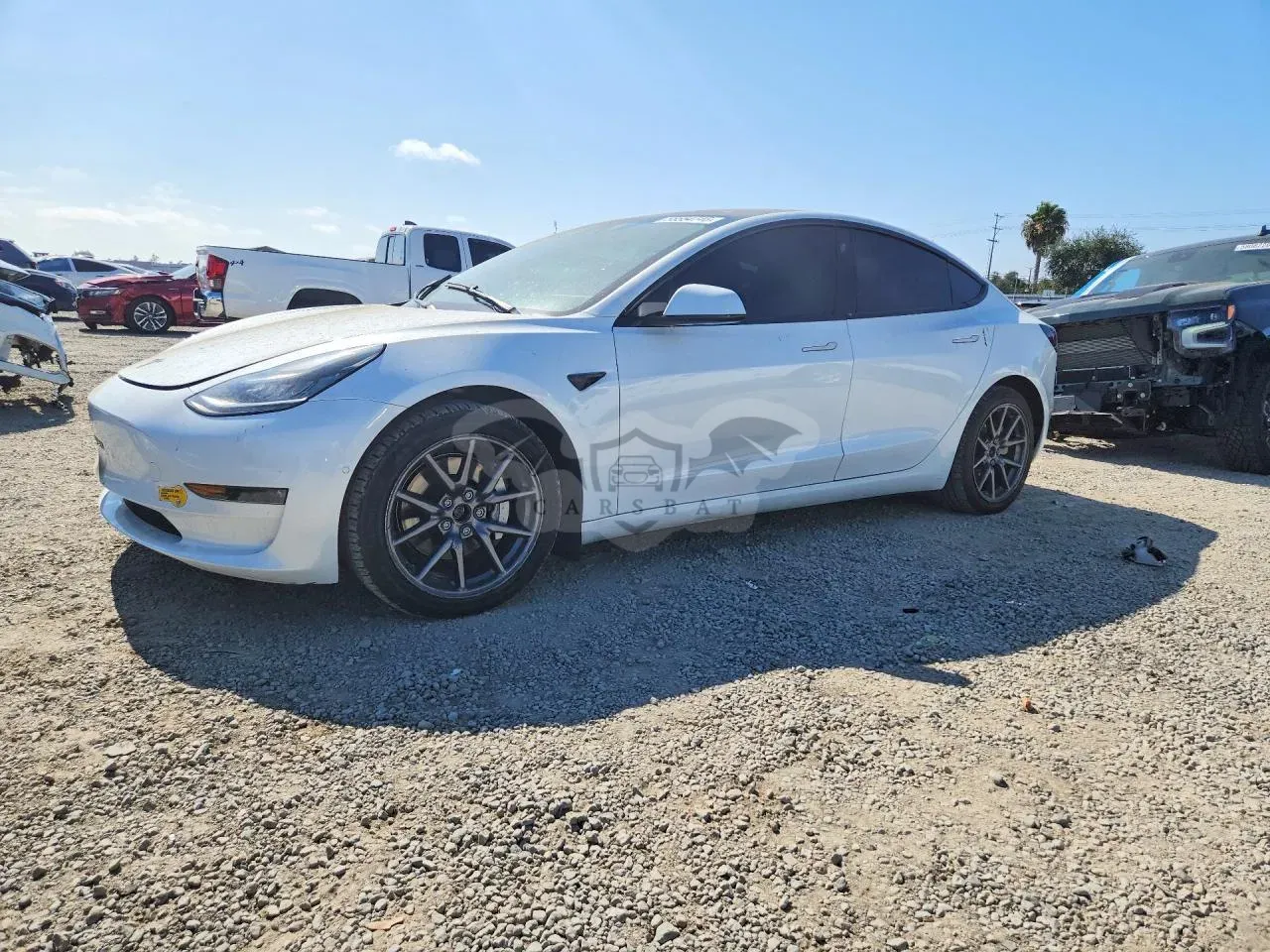 Tesla Model 3 2019