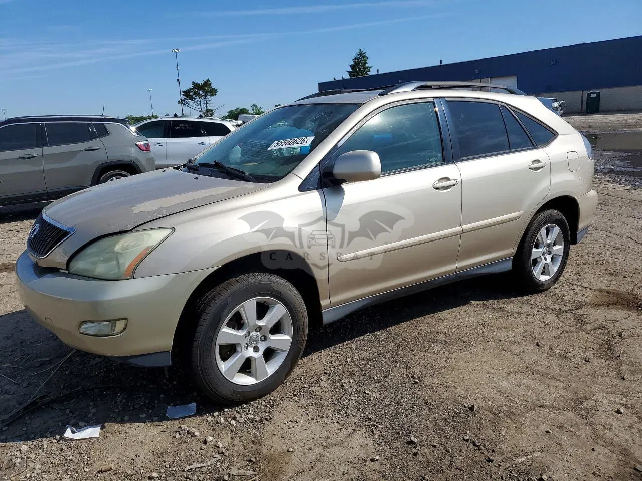 Lexus RX 3.3L 6 2004