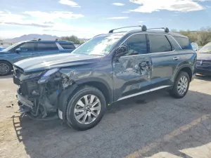 Hyundai Palisade 3.8L 6 2024
