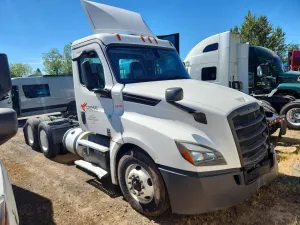 Freightliner Cascadia 12.8L 6 2019