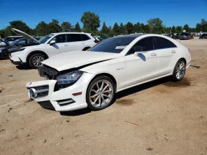 Mercedes-Benz CLS 4.6L 8 2014