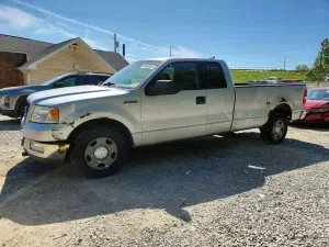 Ford F-150 5.4L 8 2004