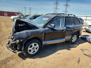 Hyundai Santa Fe 2.7L 6 2002