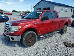 Ford F-150 4.6L 8 2009