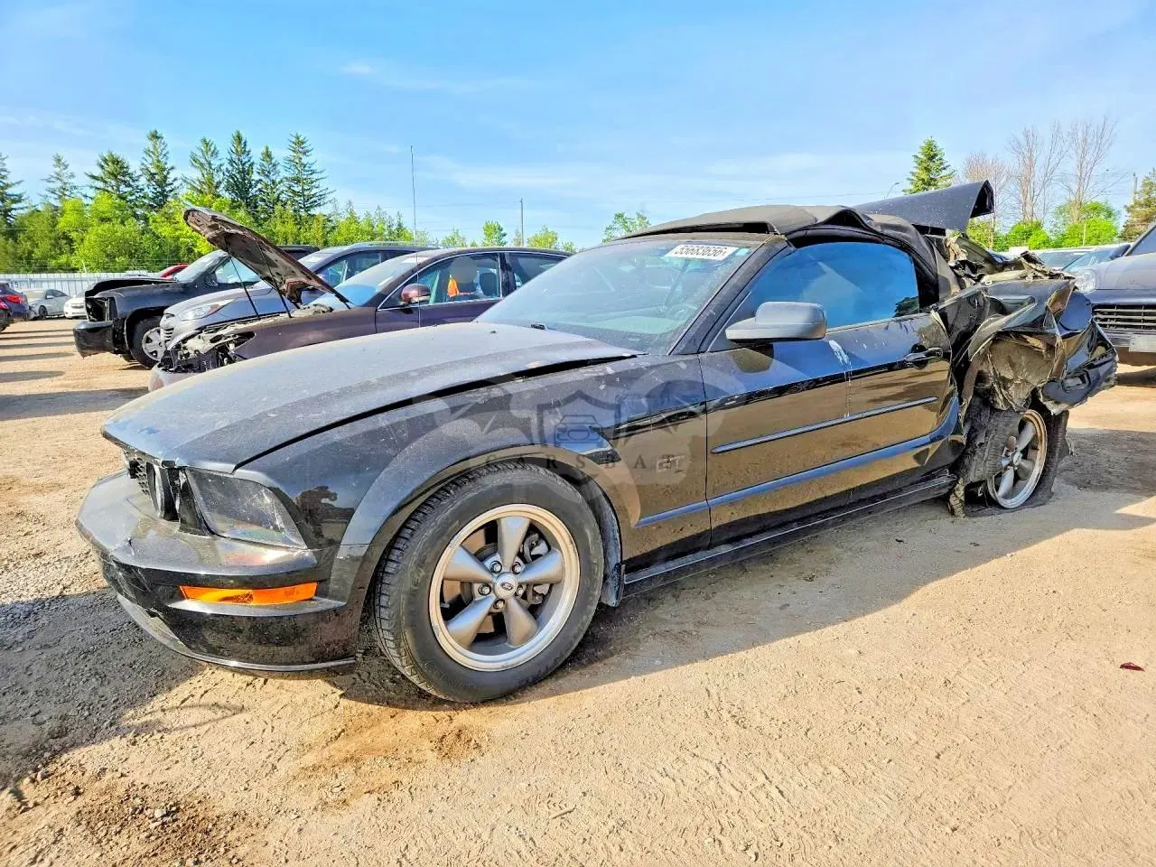 Ford Mustang 4.6L 8 2006