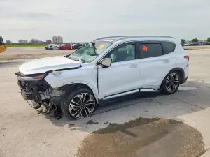 Hyundai Santa Fe 2.0L 4 2019