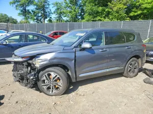 Hyundai Santa Fe 2.0L 4 2019