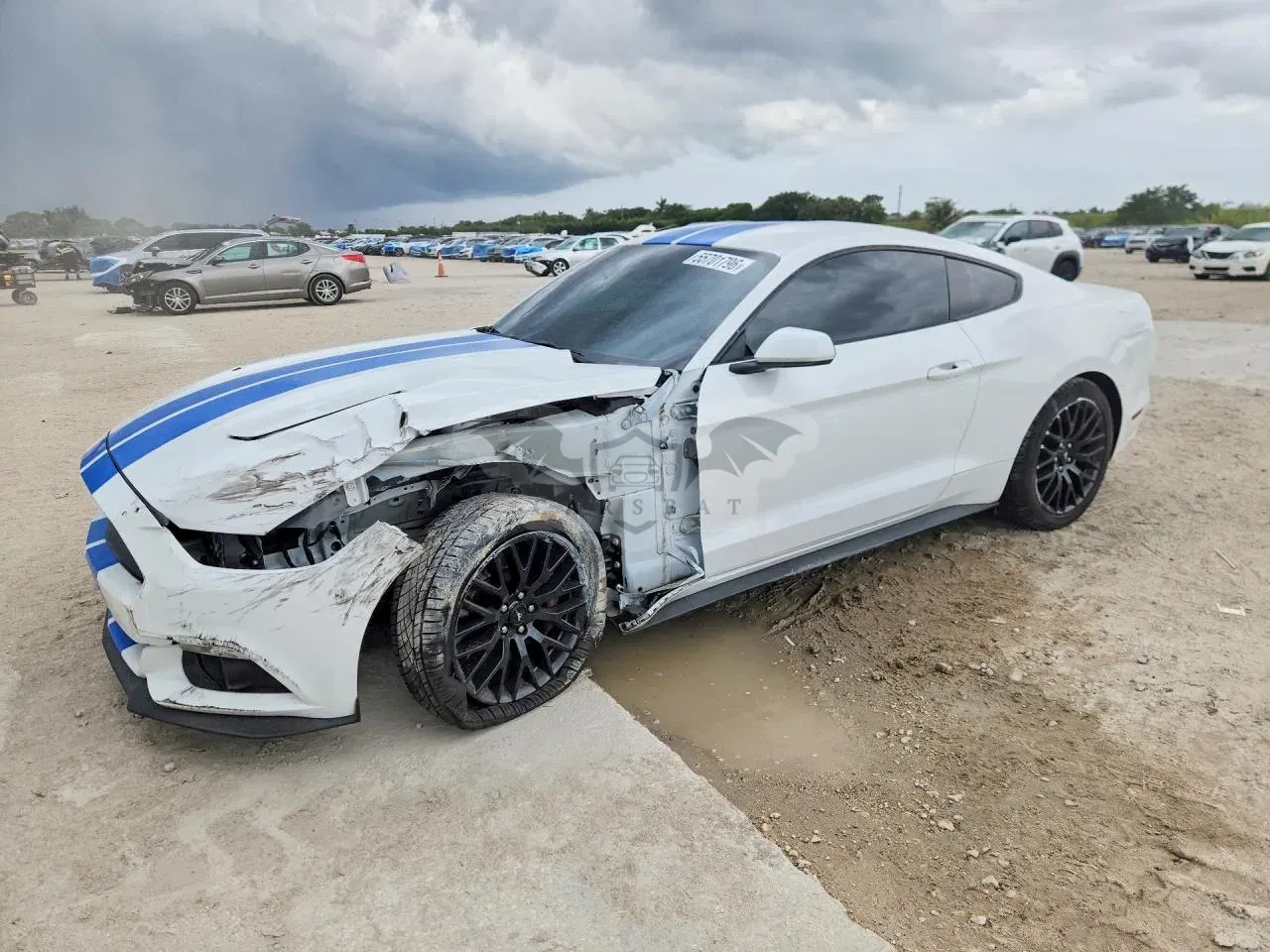 Ford Mustang 5.0L 8 2017