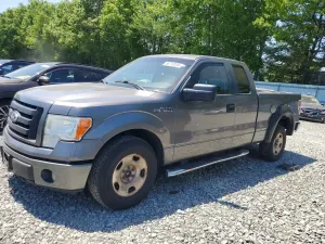 Ford F-150 4.6L 8 2010
