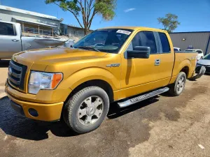 Ford F-150 4.6L 8 2009
