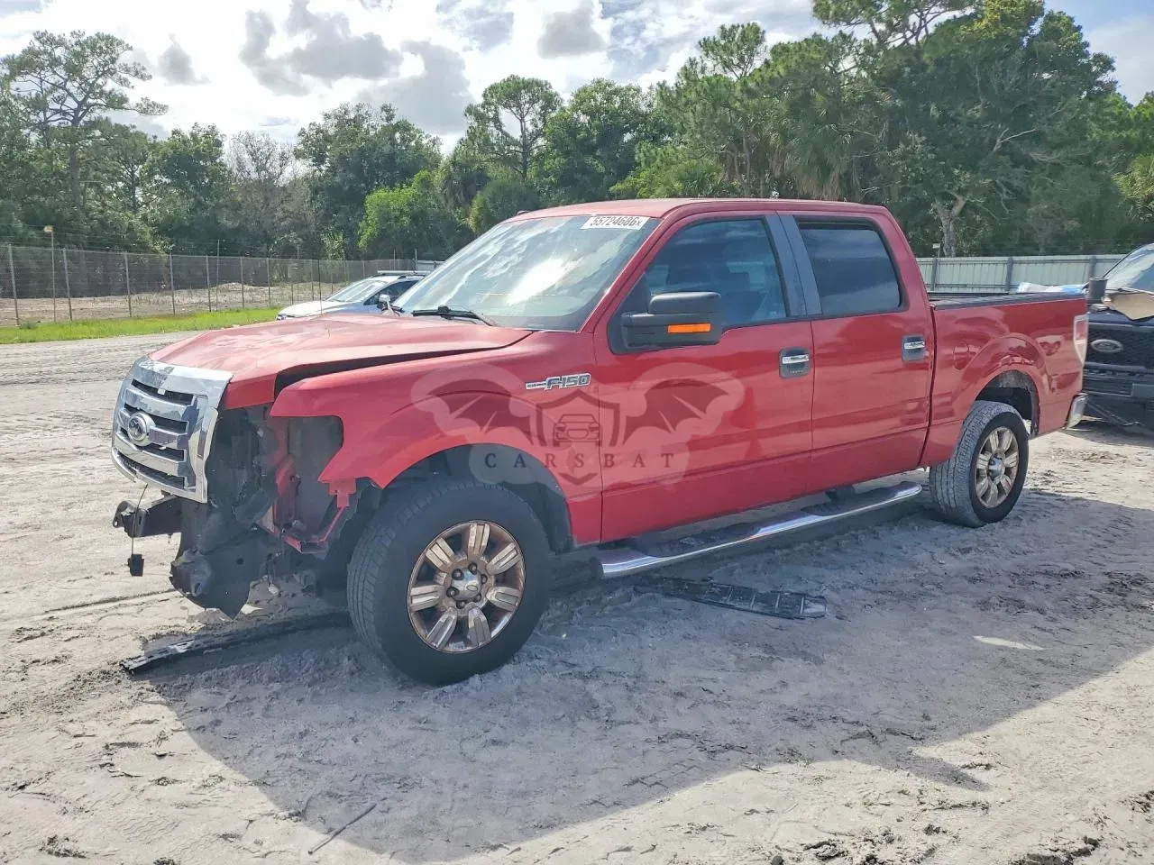 Ford F-150 4.6L 8 2009
