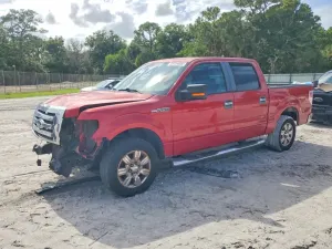 Ford F-150 4.6L 8 2009