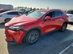 Lexus NX 2.5L 4 2025