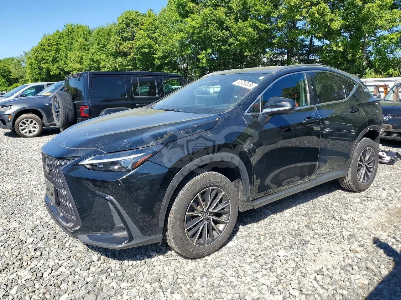 Lexus NX 2.4L 4 2022