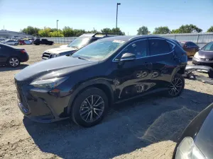 Lexus NX 2.4L 4 2023