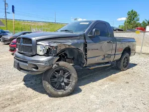 Dodge RAM 4.7L 8 2003