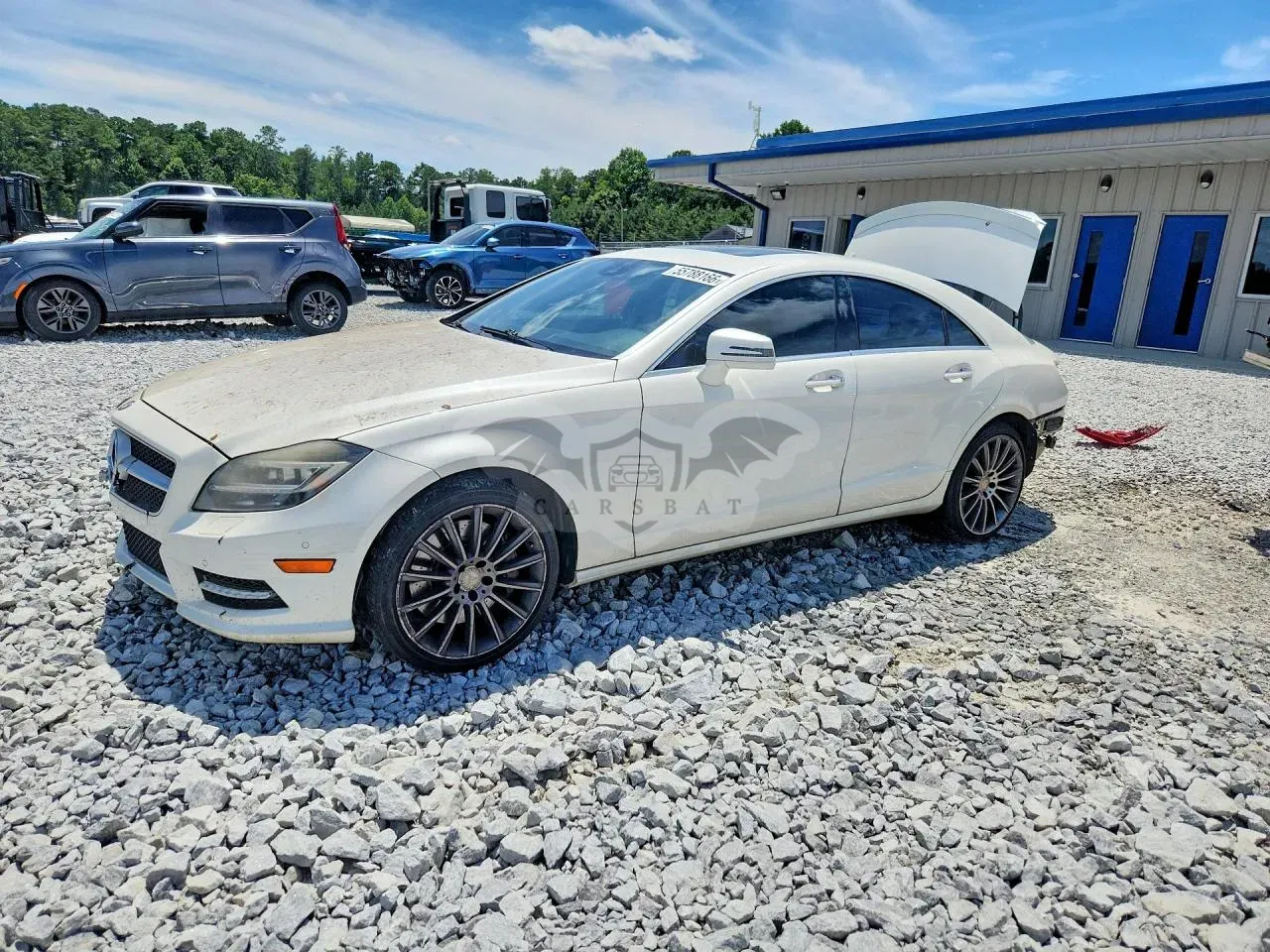 Mercedes-Benz CLS 4.6L 8 2013
