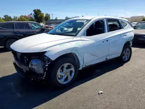 Hyundai Tucson 2.5L 4 2024