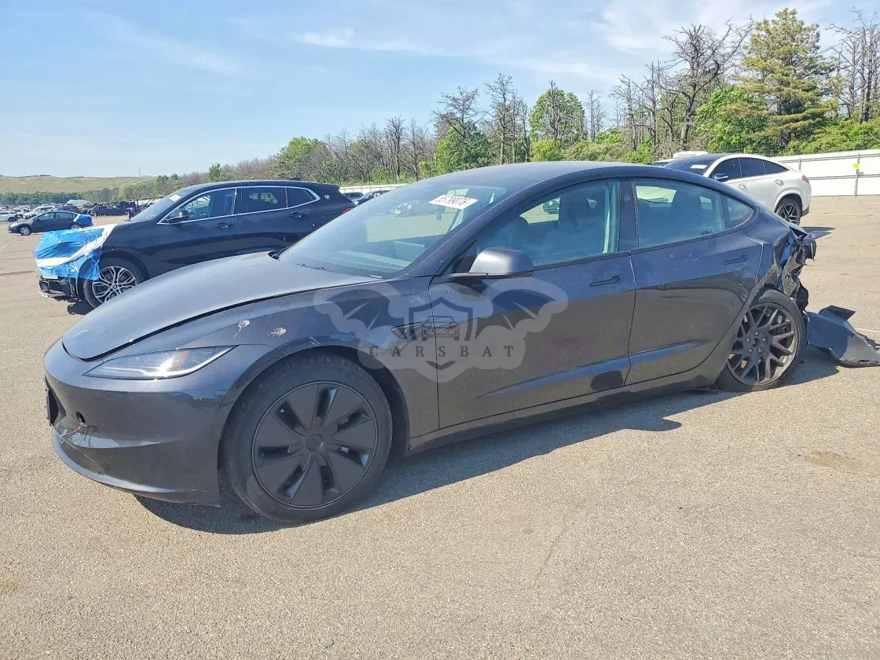 Tesla Model 3 2025
