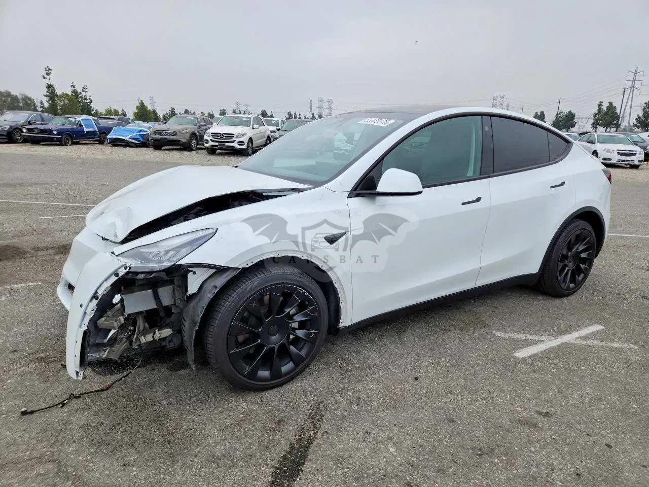 Tesla Model Y 2021