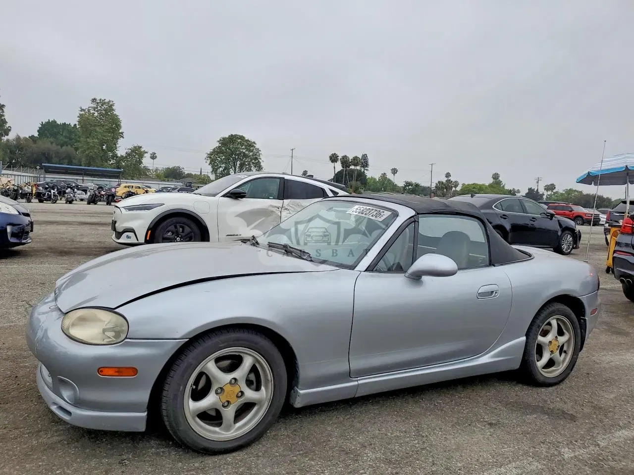Mazda MX-5 (Miata) 1.8L 4 2000