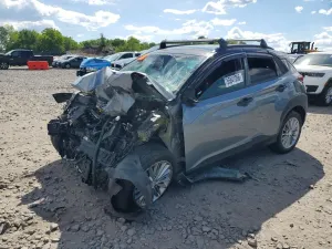 Hyundai Kona 2.0L 4 2020