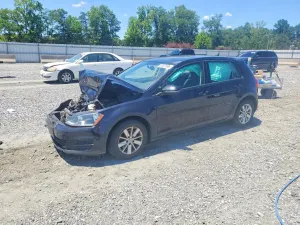 Volkswagen Golf 1.8L 4 2016