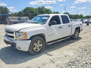 Chevrolet Silverado 1500 5.3L 8 2007