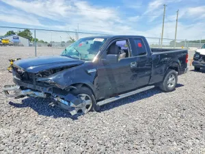 Ford F-150 5.4L 8 2004