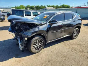 Lexus NX 2.4L 4 2022