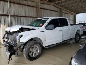 Ford F-150 5.0L 8 2020