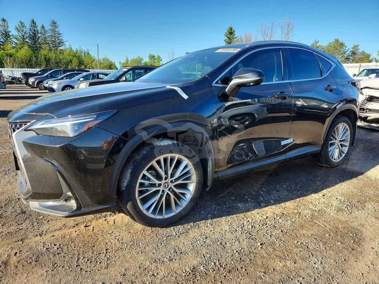 Lexus NX 2.4L 4 2025