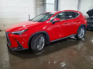 Lexus NX 2.4L 4 2024