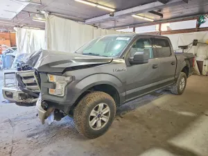 Ford F-150 5.0L 8 2015