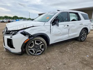Hyundai Palisade 3.8L 6 2024